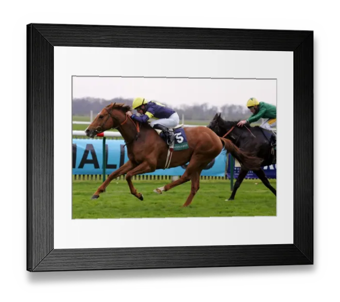 Framed Print : Notnowcato & Michael Kinane Framed Print : Notnowcato & Michael Kinane