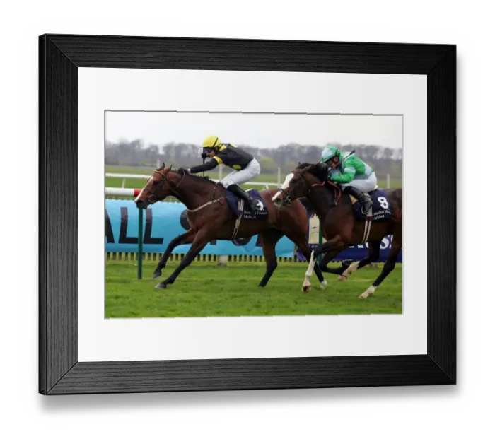 Framed Print : Misu Bond Ahead Of Jeremy Framed Print : Misu Bond Ahead Of Jeremy