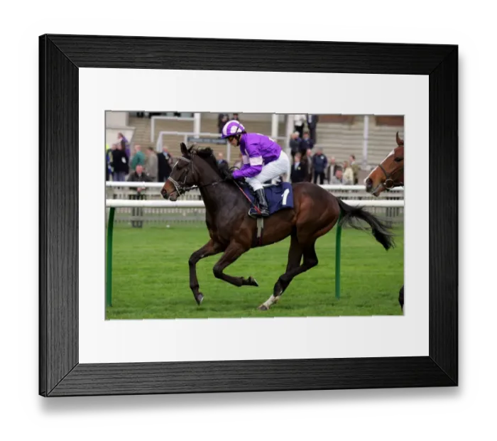 Framed Print : Urban Warrior Framed Print : Urban Warrior