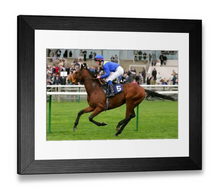 Framed Print : Chief Editor Framed Print : Chief Editor