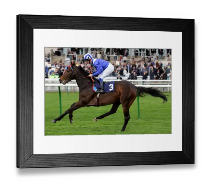 Framed Print : Layazaal Ridden By R.Hills Craven Meeting, Newmarket Rowley Mile Course Framed Print : Layazaal Ridden By R.Hills Craven Meeting, Newmarket Rowley Mile Course