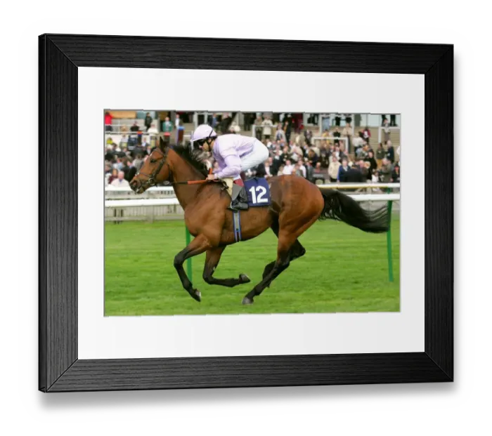 Framed Print : Sivivatu Ridden By D.Holland Craven Meeting, Newmarket Rowley Mile Course Framed Print : Sivivatu Ridden By D.Holland Craven Meeting, Newmarket Rowley Mile Course