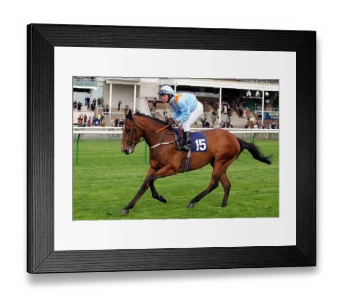 Framed Print : Collateral Damage Framed Print : Collateral Damage