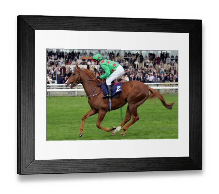 Framed Print : Giganticus Framed Print : Giganticus