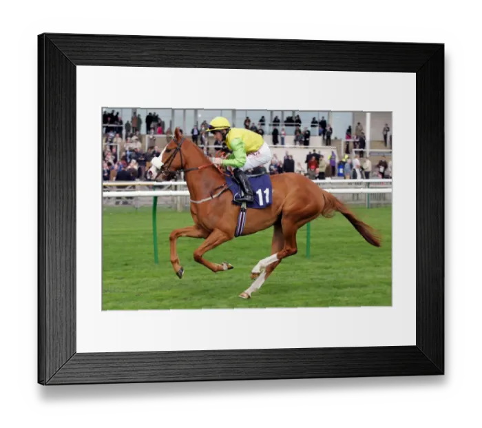 Framed Print : Blades Girl Framed Print : Blades Girl
