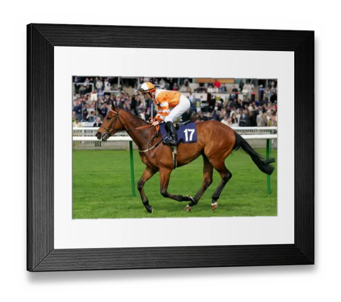 Framed Print : Rubenstar Ridden By N.Mackay Craven Meeting, Newmarket Rowley Mile Course Framed Print : Rubenstar Ridden By N.Mackay Craven Meeting, Newmarket Rowley Mile Course