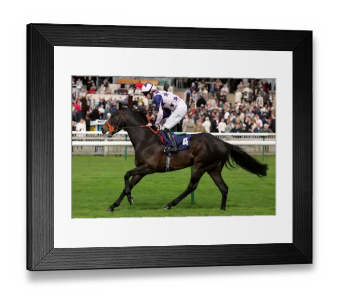 Framed Print : The Snatcher Framed Print : The Snatcher