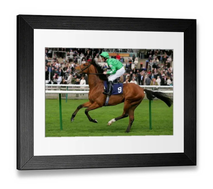 Framed Print : Savernake Blue Framed Print : Savernake Blue