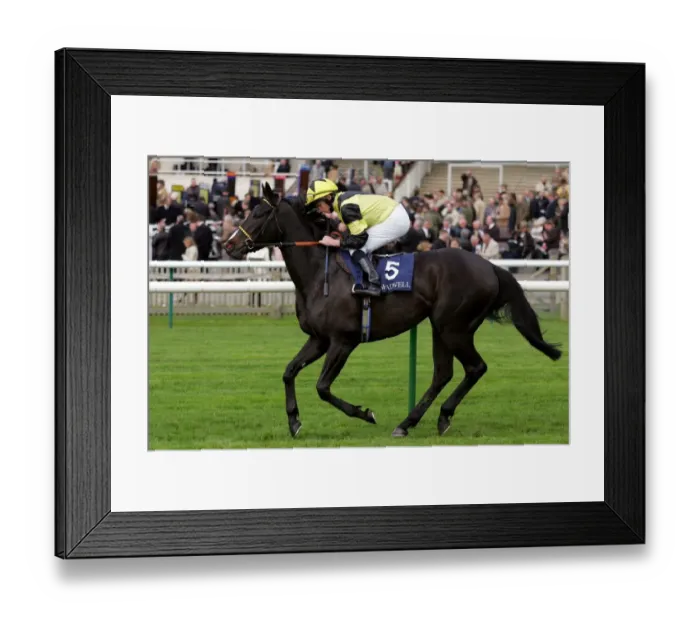 Framed Print : Saabiq Ridden By R.L.Moore Craven Meeting, Newmarket Rowley Mile Course Framed Print : Saabiq Ridden By R.L.Moore Craven Meeting, Newmarket Rowley Mile Course