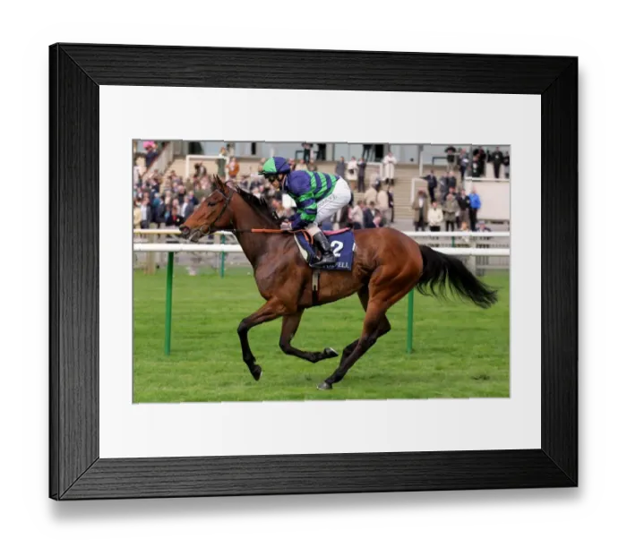 Framed Print : Dizzy Dreamer Framed Print : Dizzy Dreamer