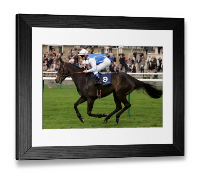 Framed Print : Sweet Travel Framed Print : Sweet Travel