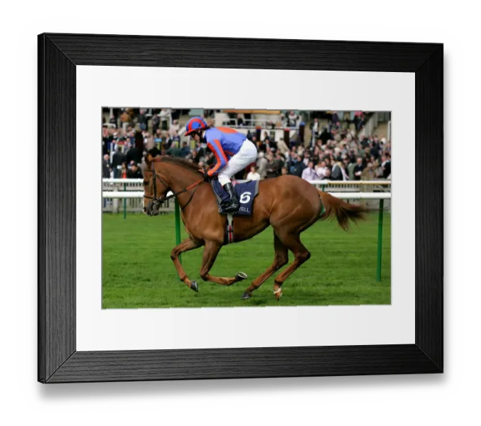 Framed Print : Salut D Amour Framed Print : Salut D Amour