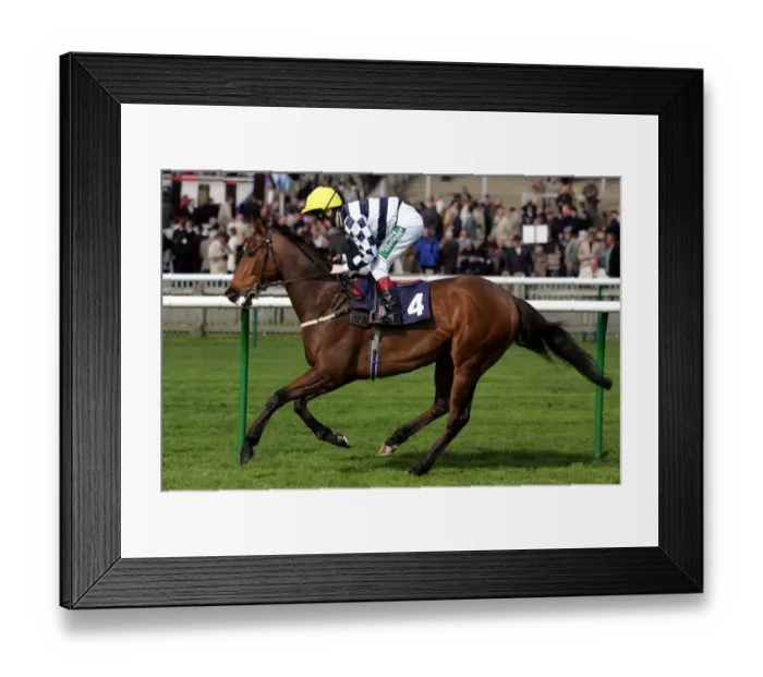 Framed Print : Beckermet Ridden By Martin Dwyer Craven Meeting Framed Print : Beckermet Ridden By Martin Dwyer Craven Meeting