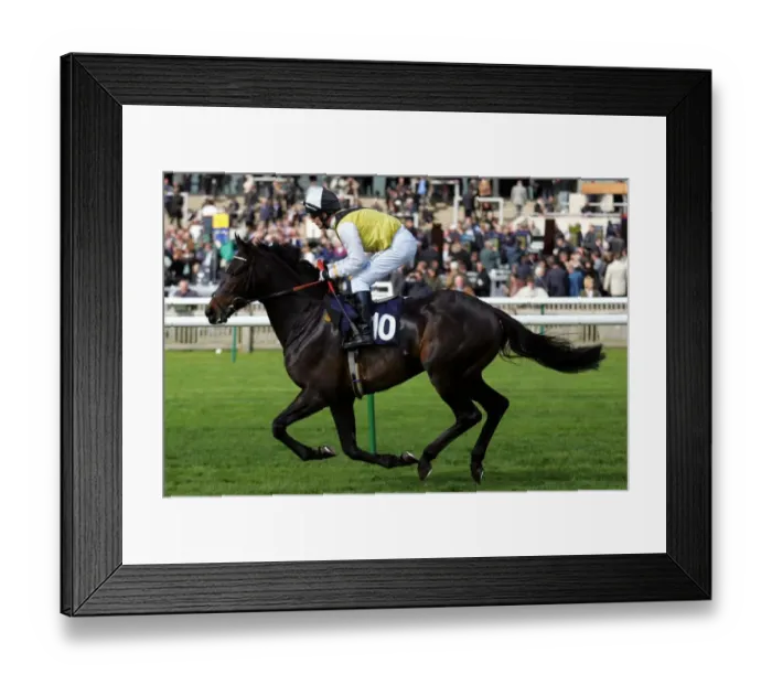 Framed Print : One Putra Ridden By P.Robinson Craven Meeting Framed Print : One Putra Ridden By P.Robinson Craven Meeting
