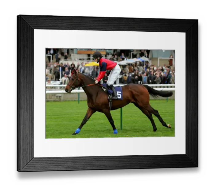 Framed Print : Souffleur Ridden By J.P.Spencer Craven Meeting Framed Print : Souffleur Ridden By J.P.Spencer Craven Meeting