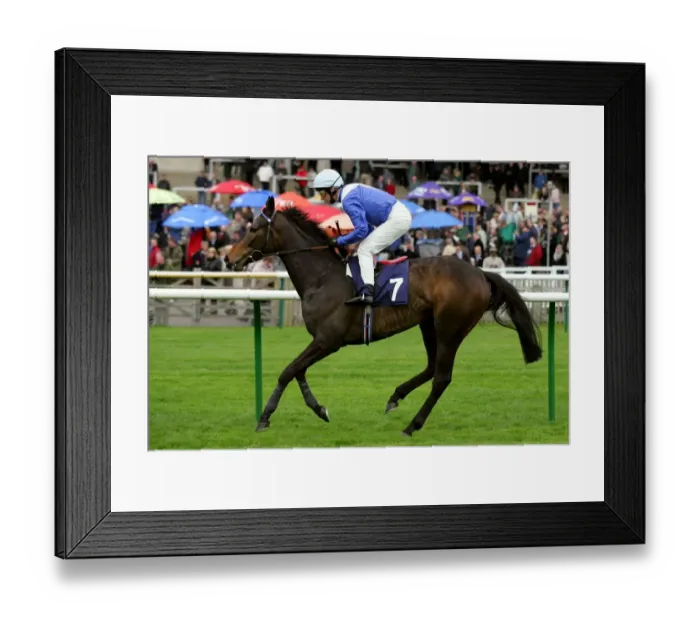 Framed Print : Profitable Framed Print : Profitable