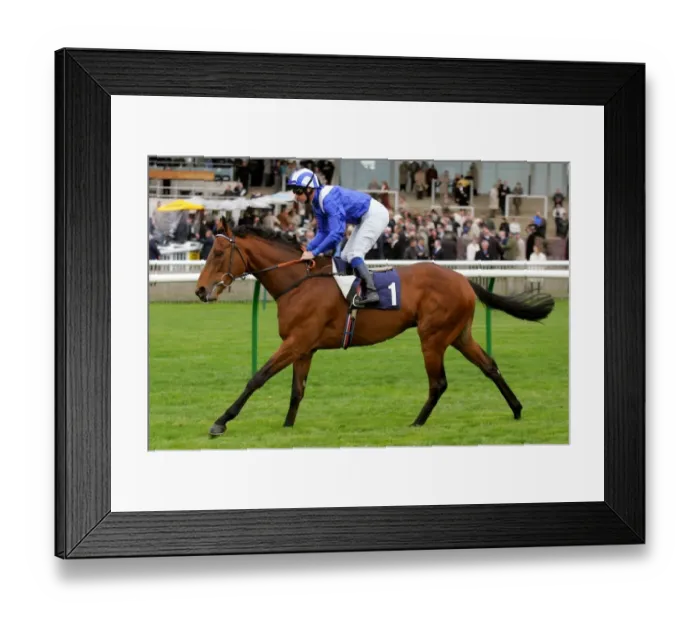 Framed Print : Alhaajes Ridden By R.Hills Craven Meeting, Newmarket Rowley Mile Course