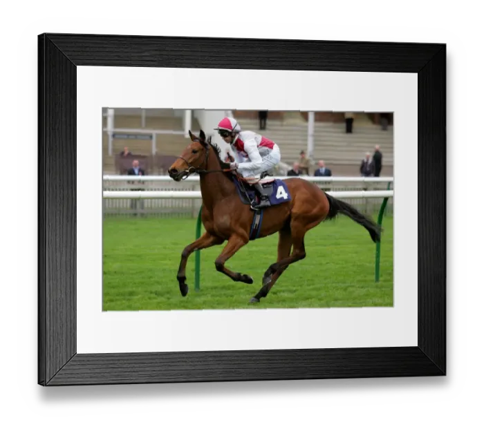 Framed Print : Elizabeth Garrett Framed Print : Elizabeth Garrett