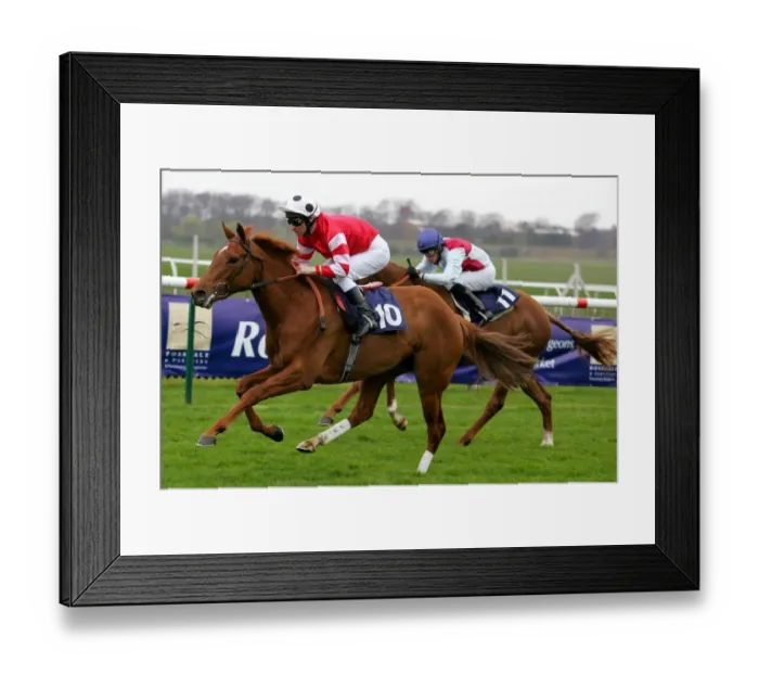 Framed Print : Silk Blossom & Tarkamara