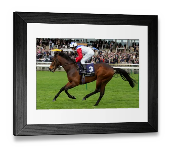 Framed Print : Ba Foxtrot Framed Print : Ba Foxtrot
