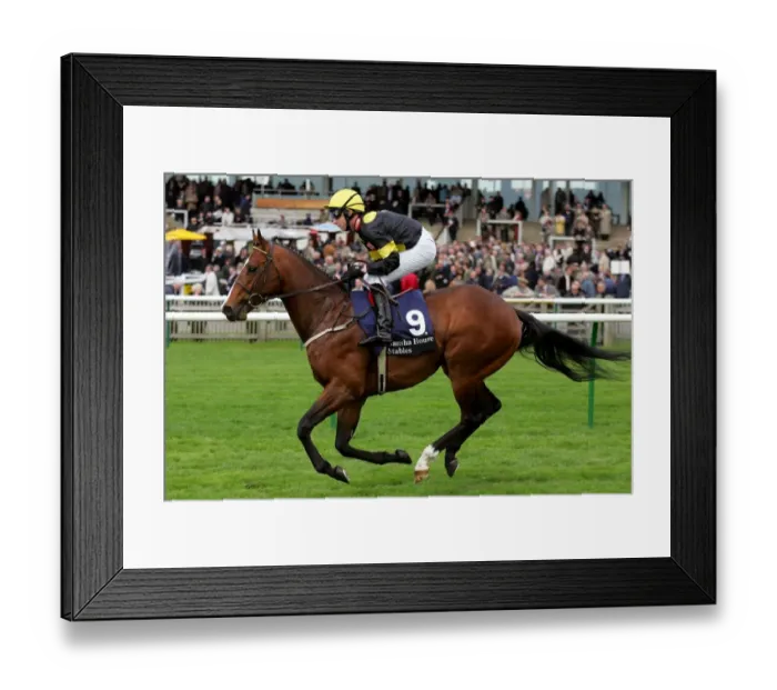 Framed Print : Misu Bond Ridden By A.Culhane Craven Meeting, Newmarket Rowley Mile Course Framed Print : Misu Bond Ridden By A.Culhane Craven Meeting, Newmarket Rowley Mile Course