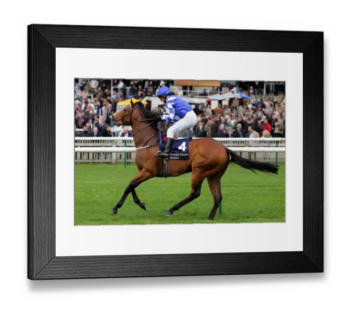 Framed Print : Johannes Ridden By K.Fallon Craven Meeting, Newmarket Rowley Mile Course Framed Print : Johannes Ridden By K.Fallon Craven Meeting, Newmarket Rowley Mile Course
