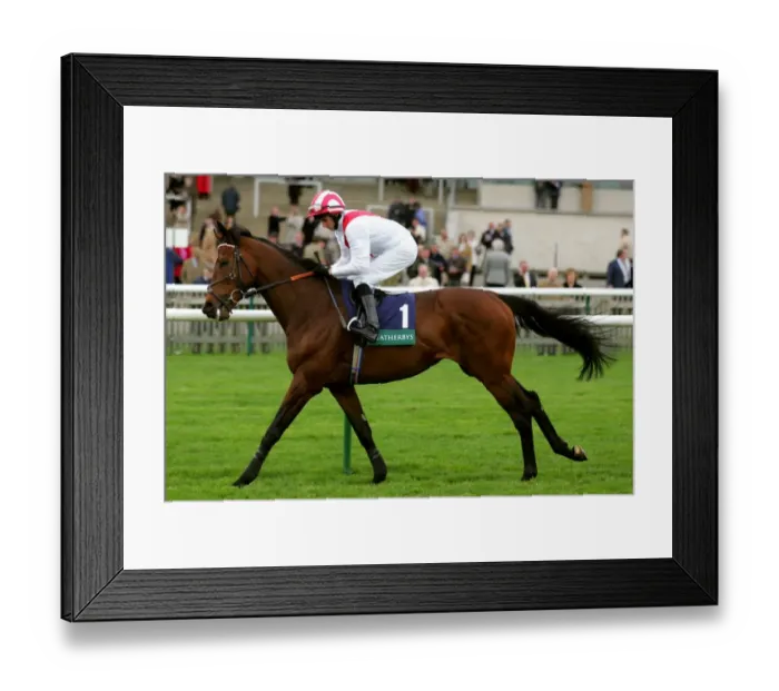 Framed Print : Bahar Shumaal Framed Print : Bahar Shumaal