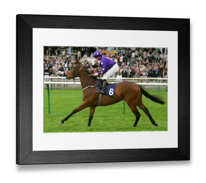 Framed Print : Starlight Gazer Framed Print : Starlight Gazer