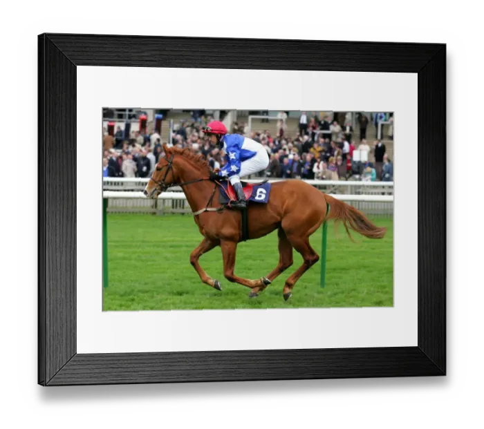 Framed Print : Pietersen Ridden By P.Fessey Craven Meeting, Newmarket Rowley Mile Course