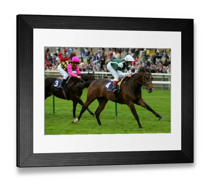 Framed Print : Excellent Art Framed Print : Excellent Art