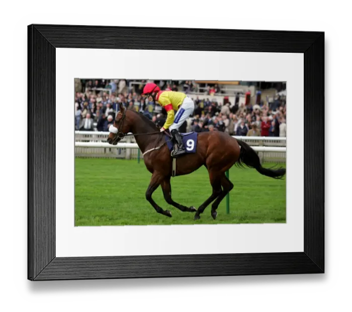 Framed Print : Sir Xaar Ridden By J.P.Spencer Craven Meeting Framed Print : Sir Xaar Ridden By J.P.Spencer Craven Meeting