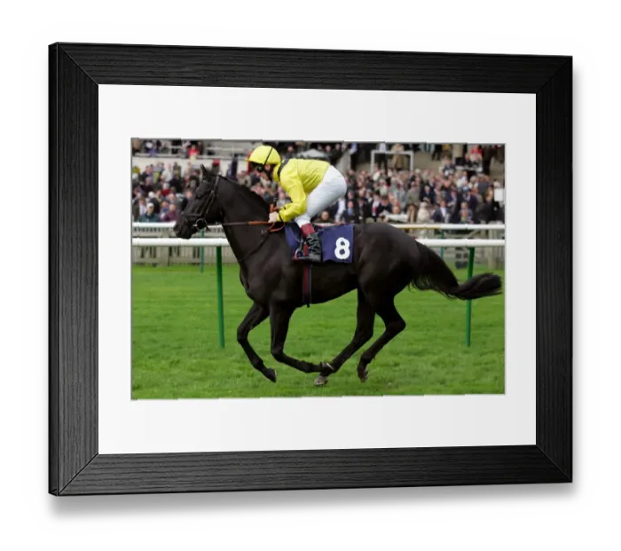 Framed Print : Mulaqat Ridden By Martin Dwyer Craven Meeting Framed Print : Mulaqat Ridden By Martin Dwyer Craven Meeting