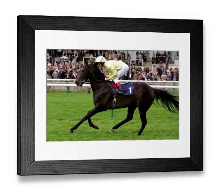Framed Print : Areyoutalkingtome Framed Print : Areyoutalkingtome