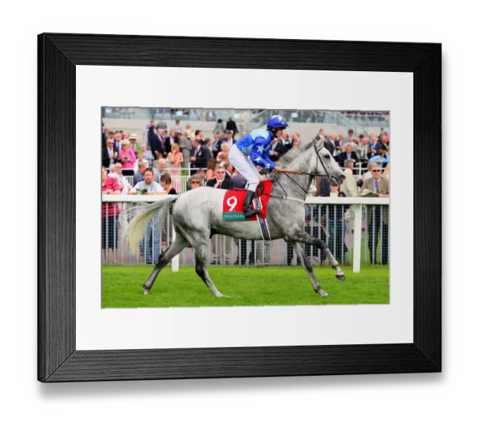 Framed Print : Kasthari Ridden By Tom Eaves York Ebor Festival 2006 York Racecourse Framed Print : Kasthari Ridden By Tom Eaves York Ebor Festival 2006 York Racecourse