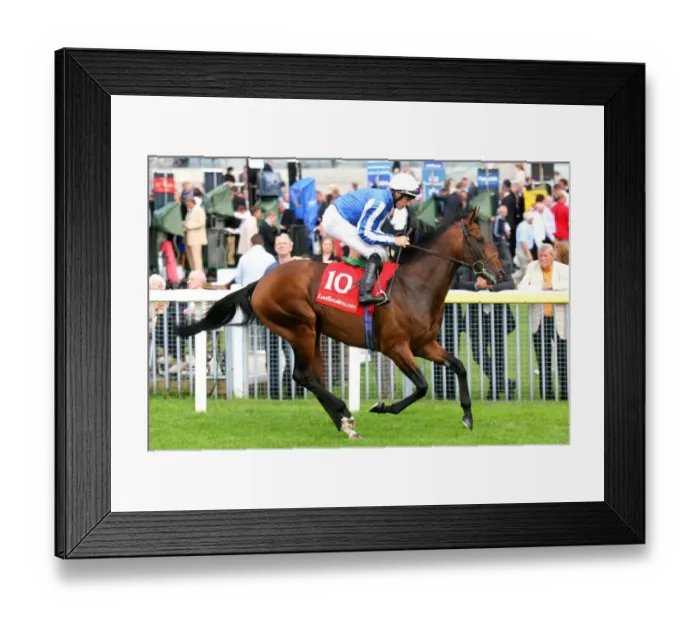 Framed Print : Youmzain Ridden By Richard Hughes York Ebor Festival 2006 York Racecourse Framed Print : Youmzain Ridden By Richard Hughes York Ebor Festival 2006 York Racecourse