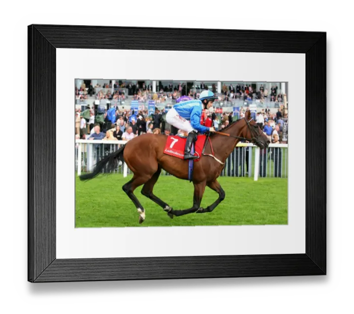 Framed Print : Sienna Storm Framed Print : Sienna Storm