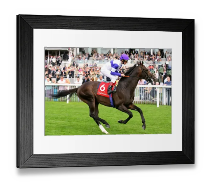 Framed Print : Red Rocks Ridden By L.Dettori York Ebor Festival 2006 York Racecourse Framed Print : Red Rocks Ridden By L.Dettori York Ebor Festival 2006 York Racecourse