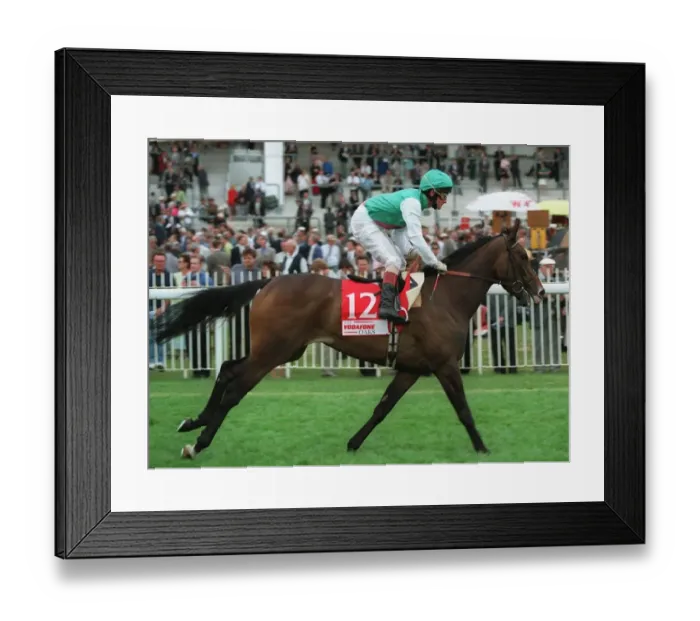 Framed Print : Yashmack Ridden By Michael Kinane 30 July 1997 Date: 30 July 1997 Framed Print : Yashmack Ridden By Michael Kinane 30 July 1997 Date: 30 July 1997