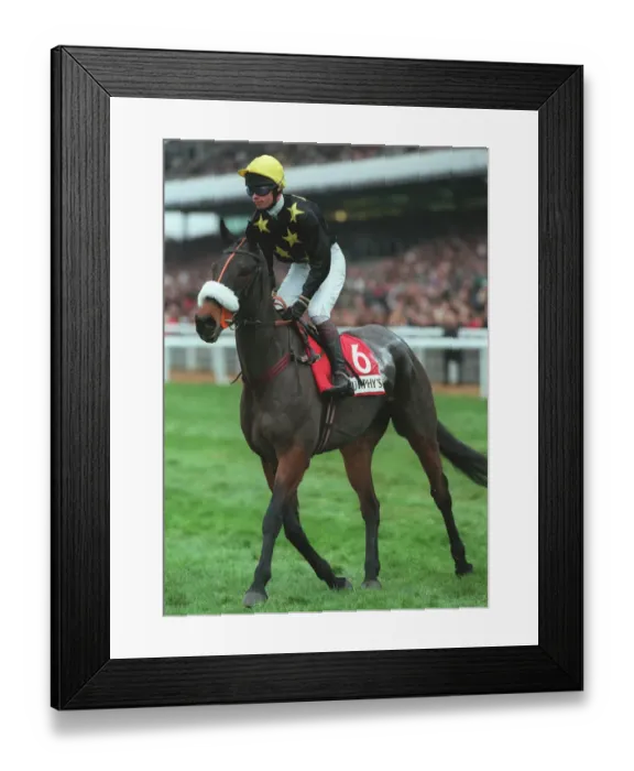 Framed Print : Cherrynut Ridden By Timothy Murphy 18 November 1997 Date: 18 November 1997 Framed Print : Cherrynut Ridden By Timothy Murphy 18 November 1997 Date: 18 November 1997