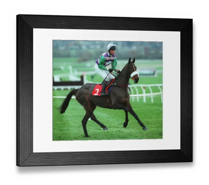 Framed Print : Storm Run Ridden By Timothy Murphy 18 November 1997 Date: 18 November 1997 Framed Print : Storm Run Ridden By Timothy Murphy 18 November 1997 Date: 18 November 1997
