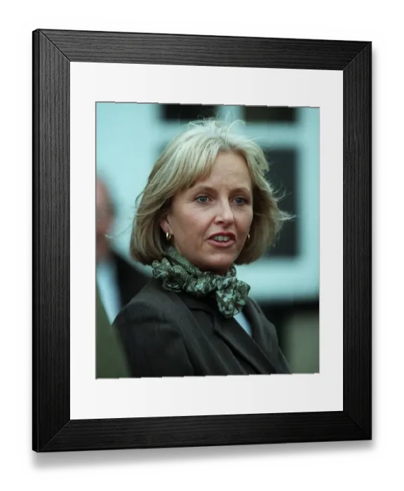 Framed Print : Diane Haine