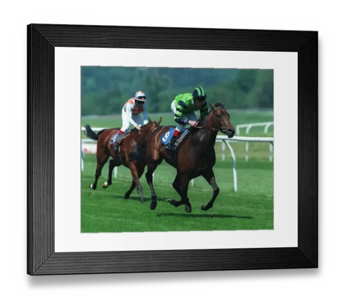 Framed Print : Prairie Falcon Wins Chepstow Framed Print : Prairie Falcon Wins Chepstow
