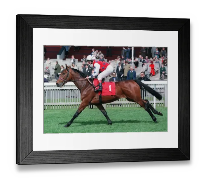 Framed Print : Assured Gamble Framed Print : Assured Gamble