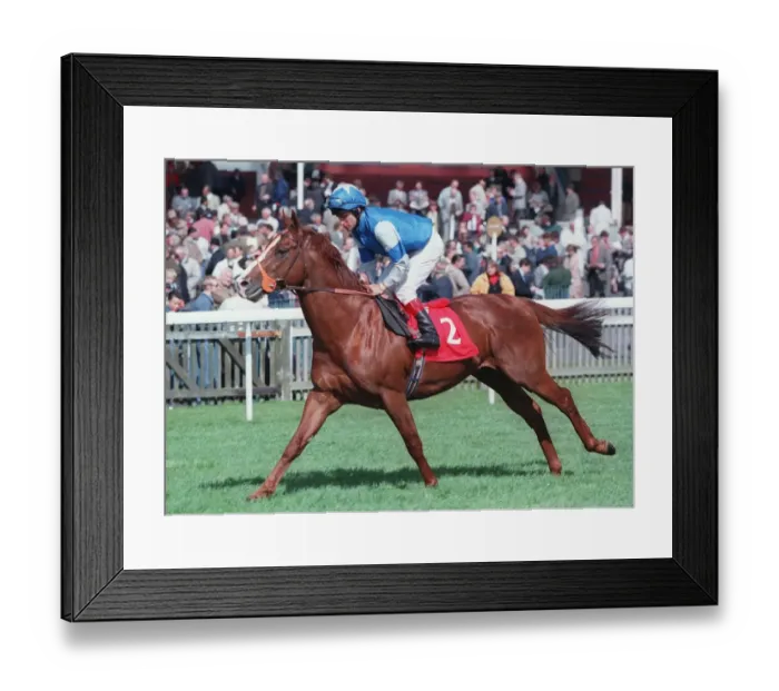 Framed Print : Cayman Kai Framed Print : Cayman Kai