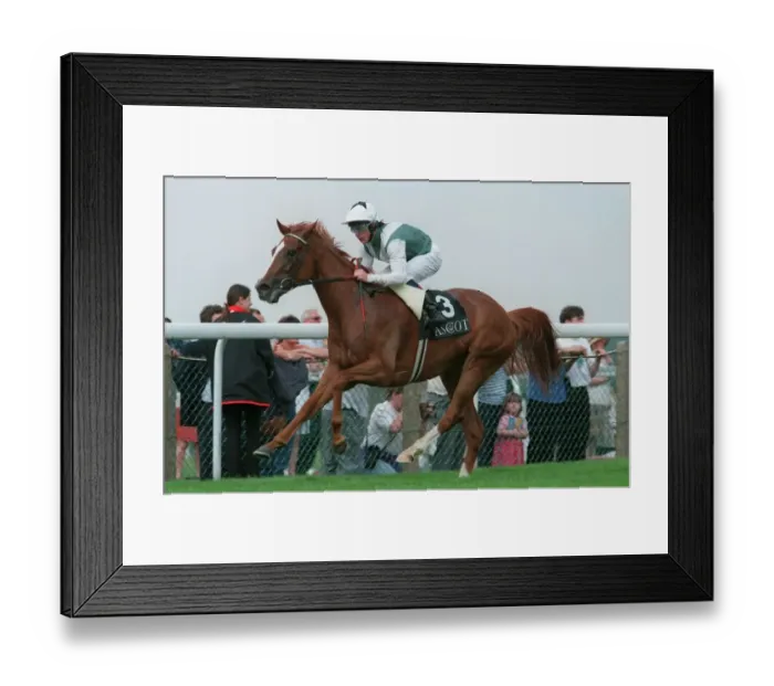 Framed Print : Bosra Sham (K. Fallon) Wins Framed Print : Bosra Sham (K. Fallon) Wins