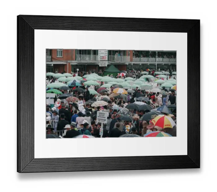 Framed Print : Umbrellas At Royal Ascot Framed Print : Umbrellas At Royal Ascot