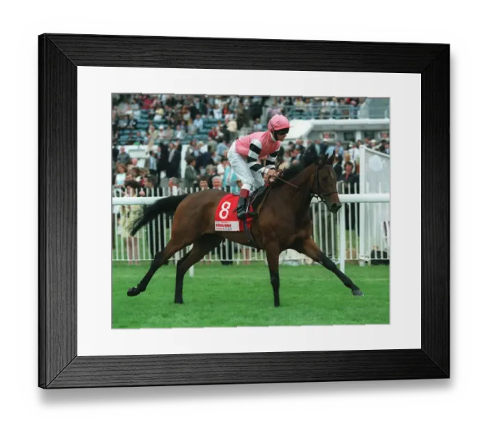 Framed Print : Imperial Scholar
