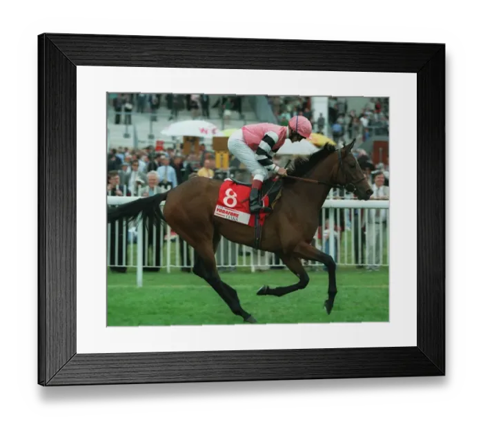 Framed Print : Siyadah Ridden By Lanfranco Dettori 30 July 1997 Date: 30 July 1997