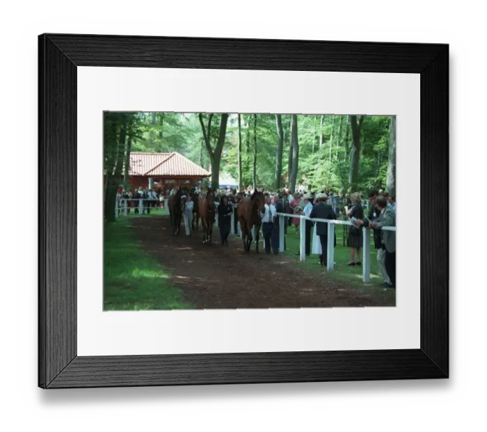 Framed Print : Pre-Parade Ring Framed Print : Pre-Parade Ring