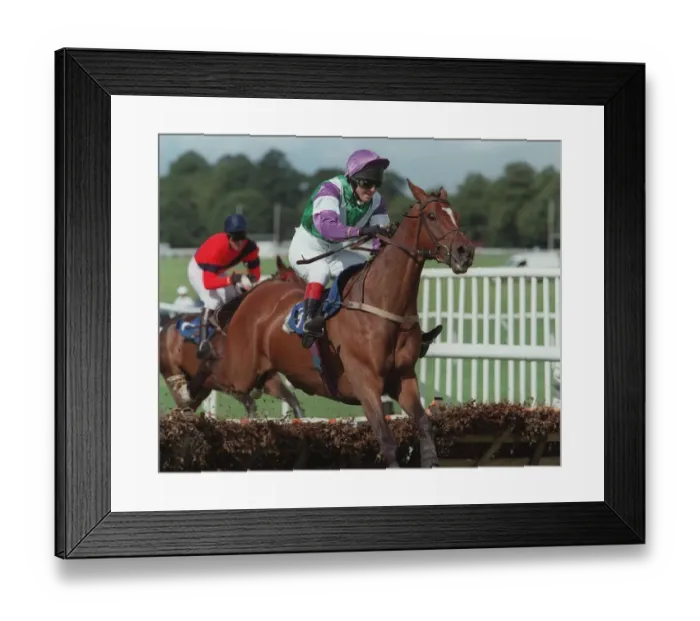Framed Print : Dauphin Bleu Framed Print : Dauphin Bleu